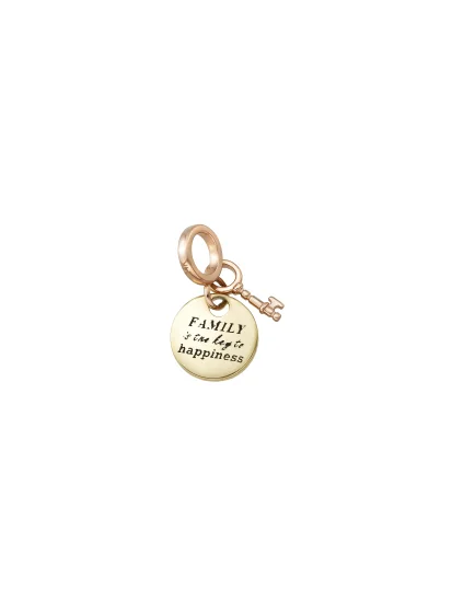 Round Key Zircon Charm in 14K Gold - (1)